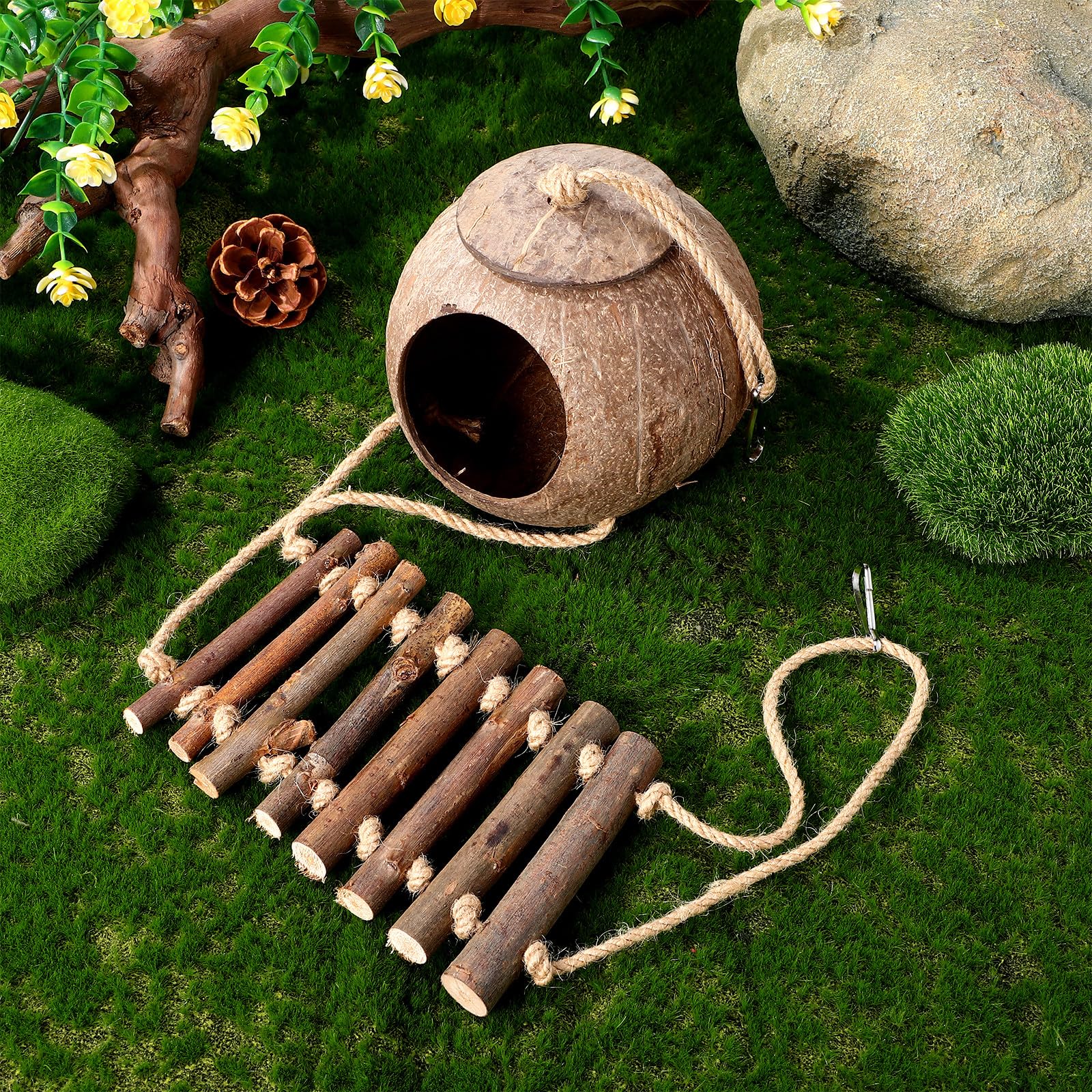 Amazon | COSMEVIVI 爬虫類用隠れ家洞窟 ココナッツシェル はしご付き